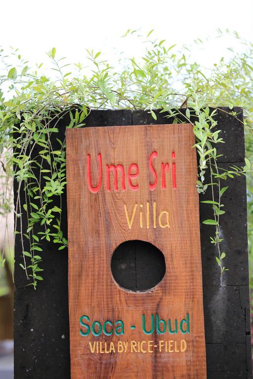 Ume Sri Villas Ubud Eksteriør billede